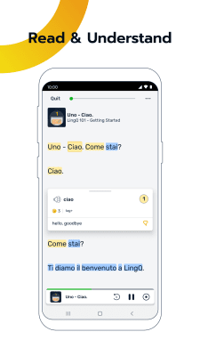 Screenshot of the application Learning LingQ languages - #4