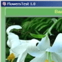 Download FlowersTest