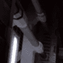 Download Tremulous
