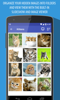 Screenshot of the application Frost Incognito Browser - #7