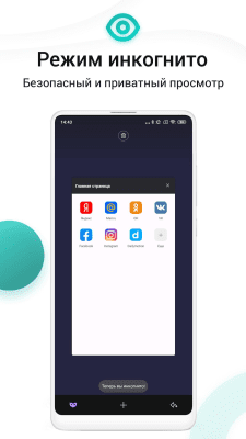 Screenshot of the application Mint Browser - Fast. Easy. Safe. - #4