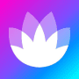 Download HONOR Club