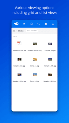 Screenshot of the application MediaFire - #6