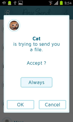Screenshot of the application Any Send - #2
