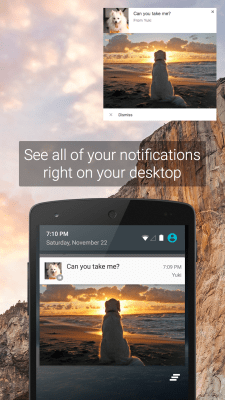 Screenshot of the application Pushbullet - #3