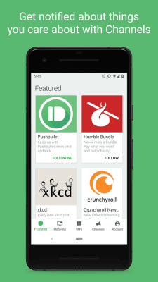 Screenshot of the application Pushbullet - #5