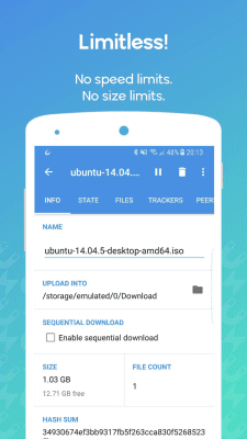 Screenshot of the application WeTorrent - #2
