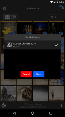 Screenshot of the application ACDSee Mobile Sync - #4