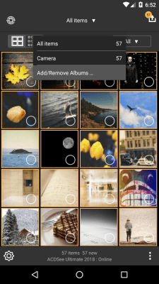 Screenshot of the application ACDSee Mobile Sync - #5