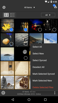 Screenshot of the application ACDSee Mobile Sync - #6