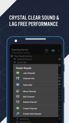 Screenshot of the application TeamSpeak 3 - Voice Chat Software - #3