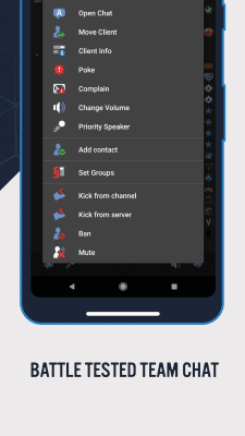 Screenshot of the application TeamSpeak 3 - Voice Chat Software - #4