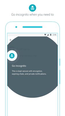 Screenshot of the application Google Allo - #6