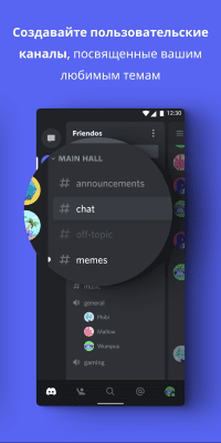 Screenshot of the application Discord - a chat room for gamers - #3