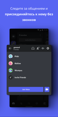 Screenshot of the application Discord - a chat room for gamers - #4