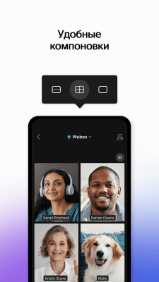Screenshot of the application Cisco WebEx Meetings - #4
