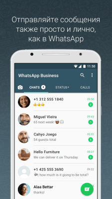 Screenshot of the application WhatsApp Business - #4