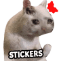 Download New funny cat meme stickers WAStickerApps