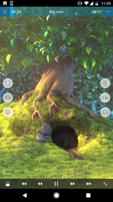 Screenshot of the application nPlayer - #3