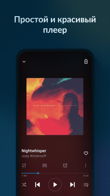 Screenshot of the application Lark Player - #2