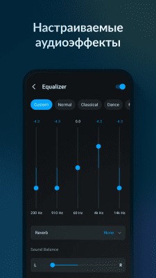 Screenshot of the application Lark Player - #5