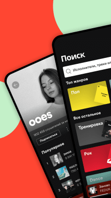 Screenshot of the application Spotify - #2
