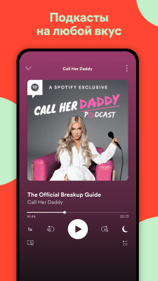 Screenshot of the application Spotify - #8