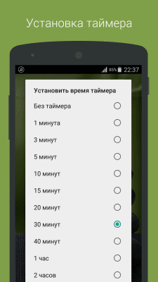Screenshot of the application Music for meditation - #3