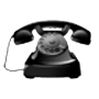 Download Ringtones for your cell phone