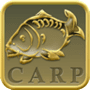 Download Carp Fishing