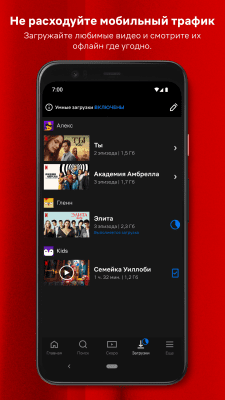 Screenshot of the application Netflix - #3