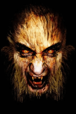 Screenshot of the application Scary Video Maker - #2