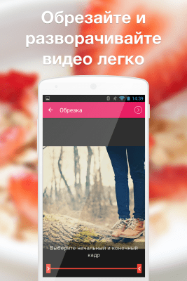 Screenshot of the application ReverX - the magic of reverse videos - #2