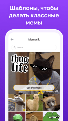 Screenshot of the application Memasic - #2