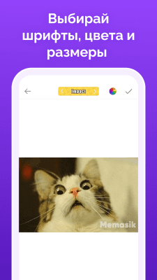 Screenshot of the application Memasic - #3