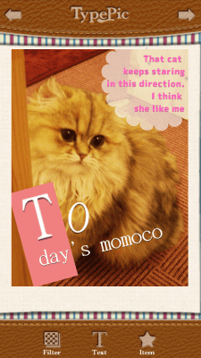 Screenshot of the application TypePic - #2