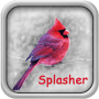 Download Pocket Color Splasher