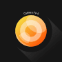 Download Camera FV-5 Lite
