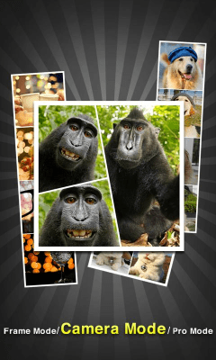 Screenshot of the application InstaPicFrame for Instagram - #2