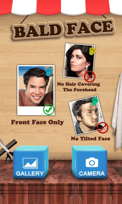 Screenshot of the application Bald Face - #5