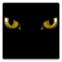 Download Crazy Eyes