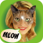 Download Look Like Cat