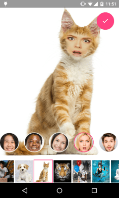 Screenshot of the application Change Face 2 - #7