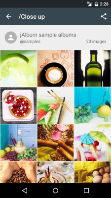 Screenshot of the application jAlbum - #2