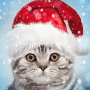 Download New Year Photo Frames