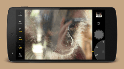 Screenshot of the application Manual Camera - #5
