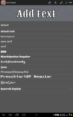 Screenshot of the application Face Changer - #8