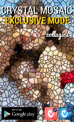 Screenshot of the application Collagics Photo Mosaic - #6