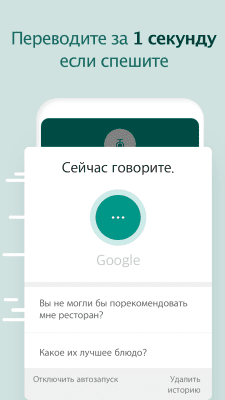 Screenshot of the application Talking Translator - #2