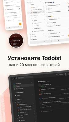 Screenshot of the application Todoist: Task List - #8
